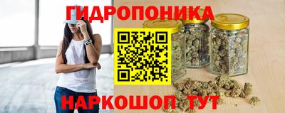 молекула духа Тверь