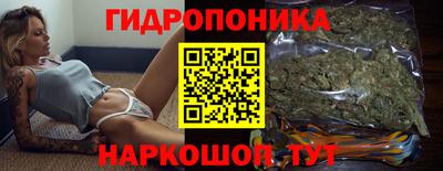 молекула духа Тверь